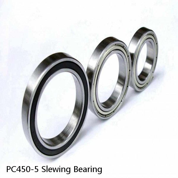 PC450-5 Slewing Bearing