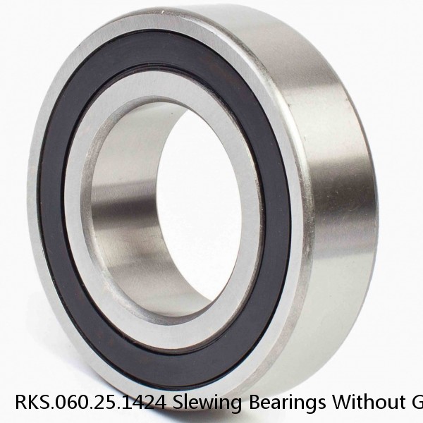 RKS.060.25.1424 Slewing Bearings Without Gear Teeth