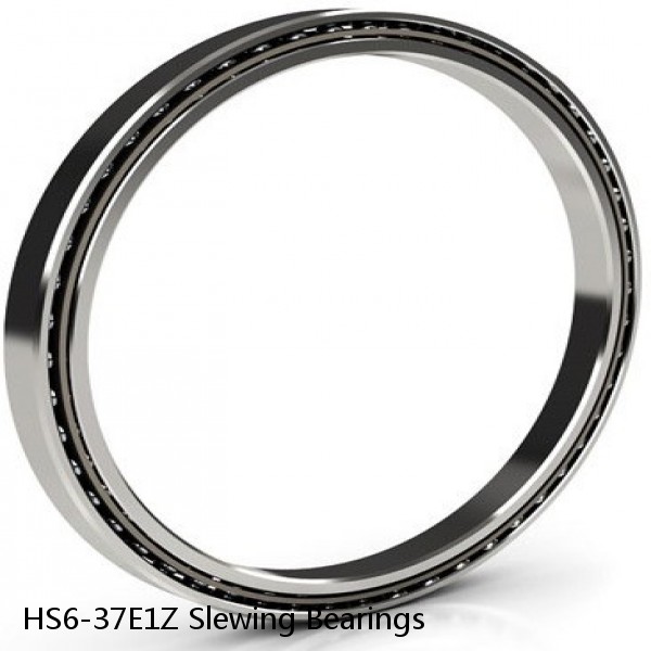 HS6-37E1Z Slewing Bearings