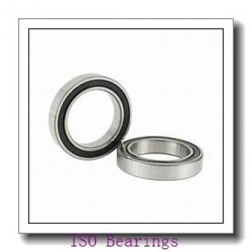 ISO 7005 BDB ISO Bearing
