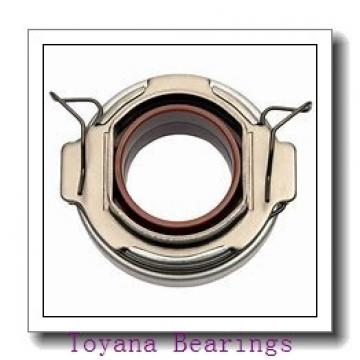 Toyana 2201-2RS Toyana Bearing