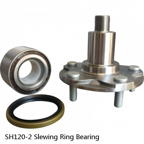 SH120-2 Slewing Ring Bearing