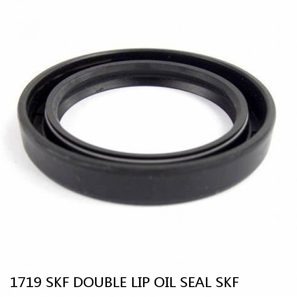 1719 SKF DOUBLE LIP OIL SEAL SKF