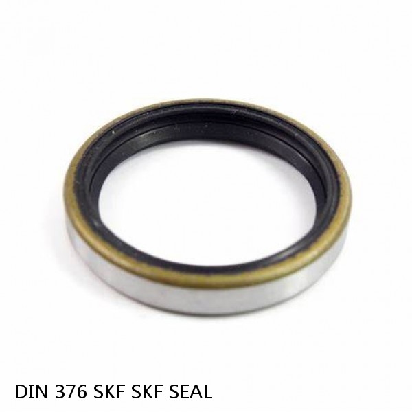 DIN 376 SKF SKF SEAL