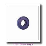 ISO NK50/25 ISO Bearing